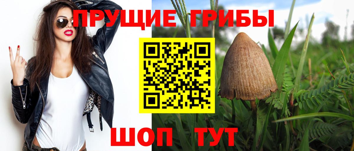 Псилоцибиновые грибы прущие грибы  Галлюциногенные грибы Cubensis  Вход с VPN  Муром 